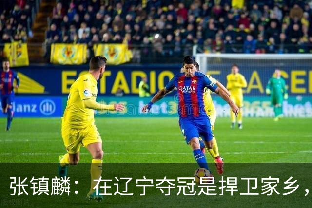 张镇麟：在辽宁夺冠是捍卫家乡，来上海拿冠军证明我换队也可以赢